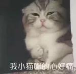 微软wpsoffice永久免费版,wpsoffice与微软办公软件