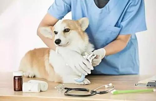 农学专业将来的就业方向,农学类就业很差么