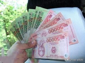 越南旅游上卫生间方便吗 (去越南旅游公共厕所)