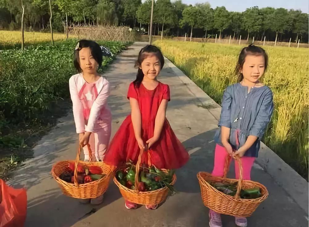 上海人游上海，这51个地方才不“踩雷”！