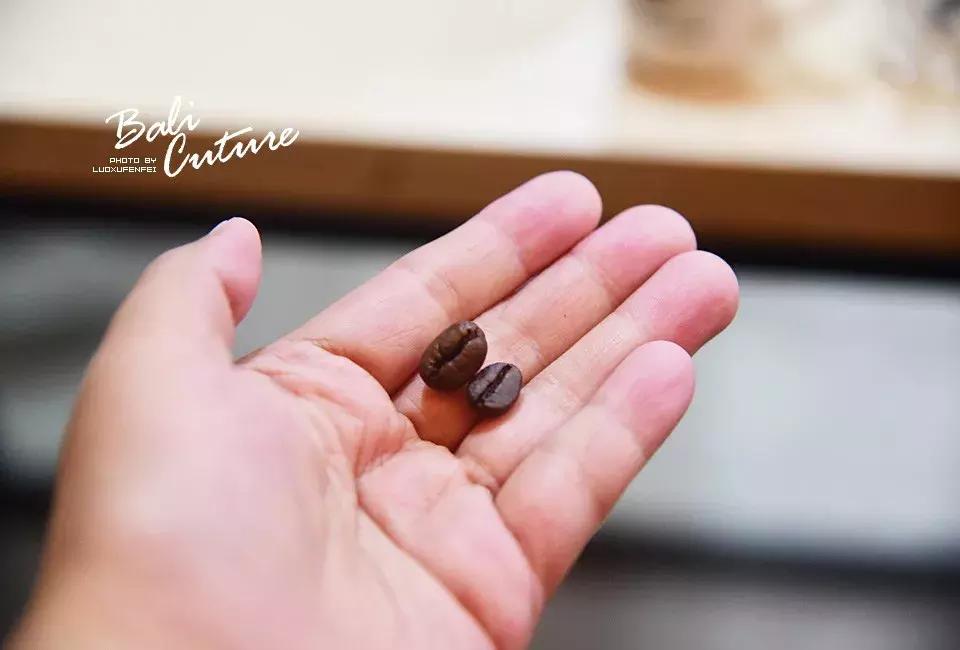 999玩转巴厘究竟嗨不嗨:香遇巴厘,南太平洋的风与海