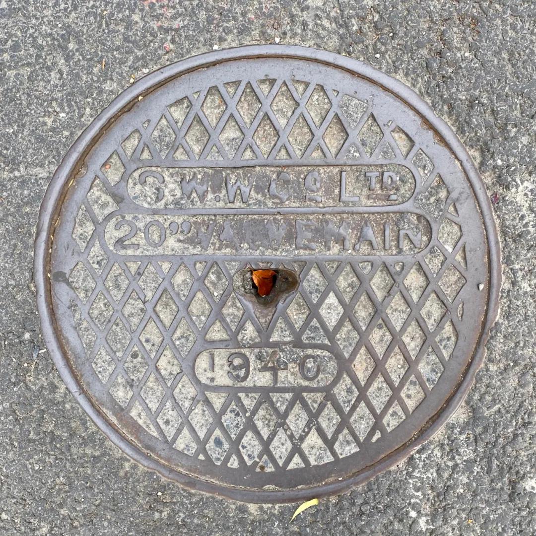 不要错过上海的春天,不要错过上海的夏天