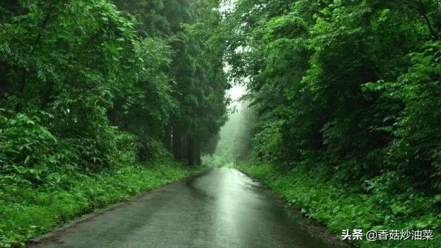 过去十年豆瓣排名前十的国产电影,影史最佳10部电影豆瓣评分最高