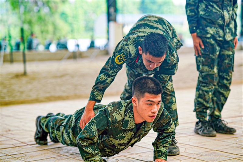 新生开坦克训练,新兵训练开训