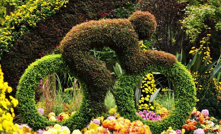 深秋的私语,美文美图经典欣赏