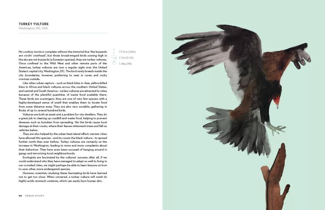 童真稚趣,稚拙童趣天真