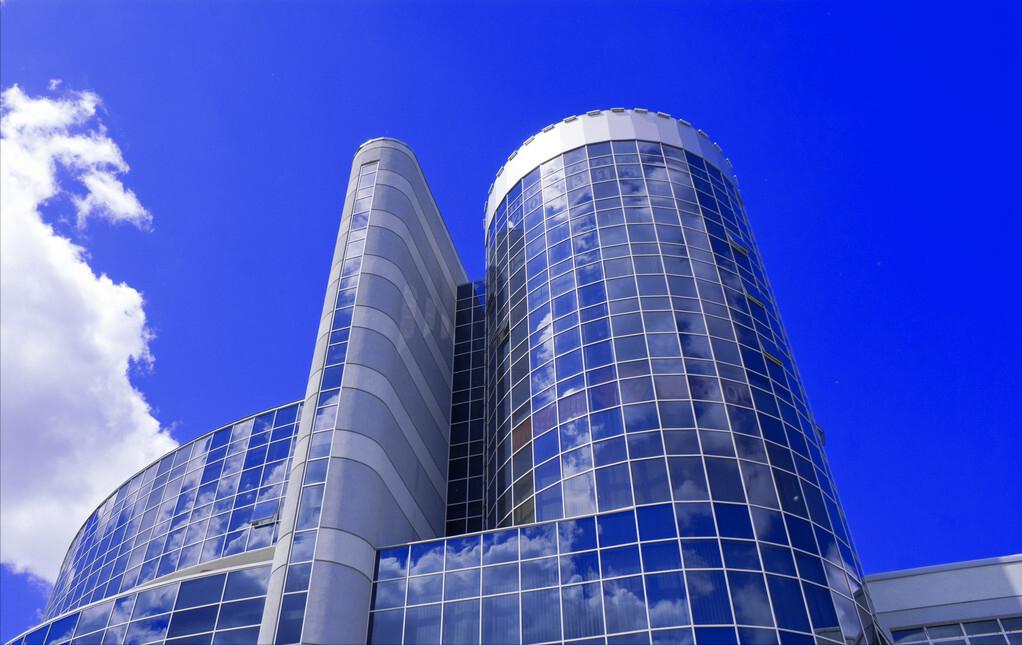 种植致富树的成功案例,农村创业种植什么树赚钱