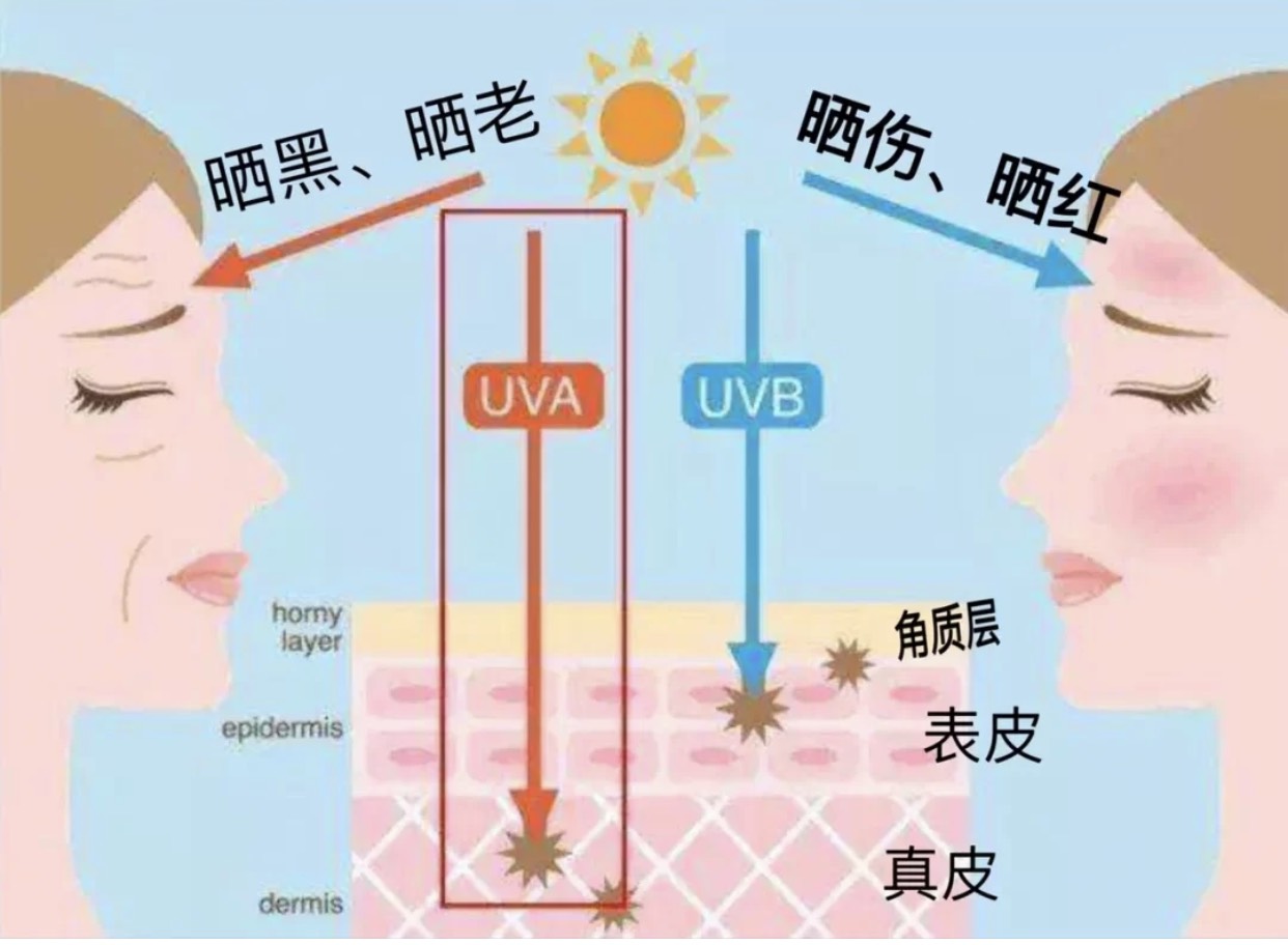 olay防晒好用吗,资生堂水感防晒测评