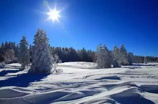 全国各地食材特产一览表建议收藏,上海特产必买清单一览表