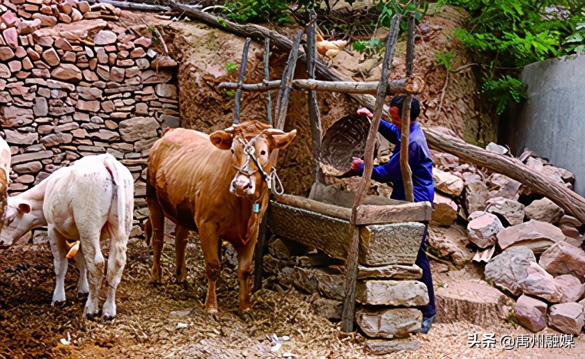 鐗涢搩澹板０,鐗涢搩澹板０鑸炶箞涓茶瘝