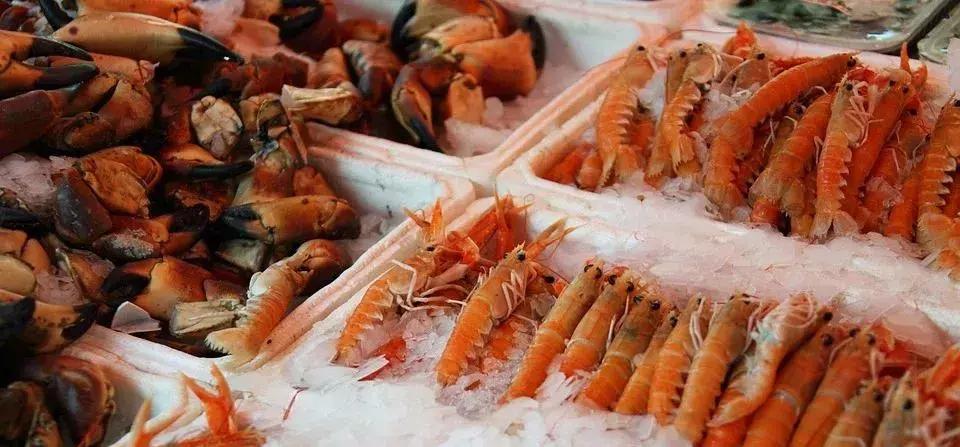 用户说｜高效又高质，我拉海鲜挣钱的好帮手！