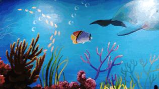 双流三甲医院,双流三甲医院开业