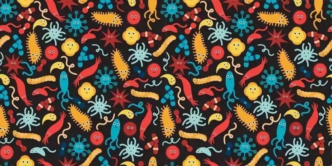 肠道细菌太多怎么办,肠道细菌分为哪三类