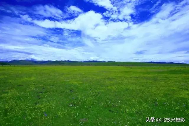 拍夜景鸟的正确方法,拍摄鸟类摄影欣赏