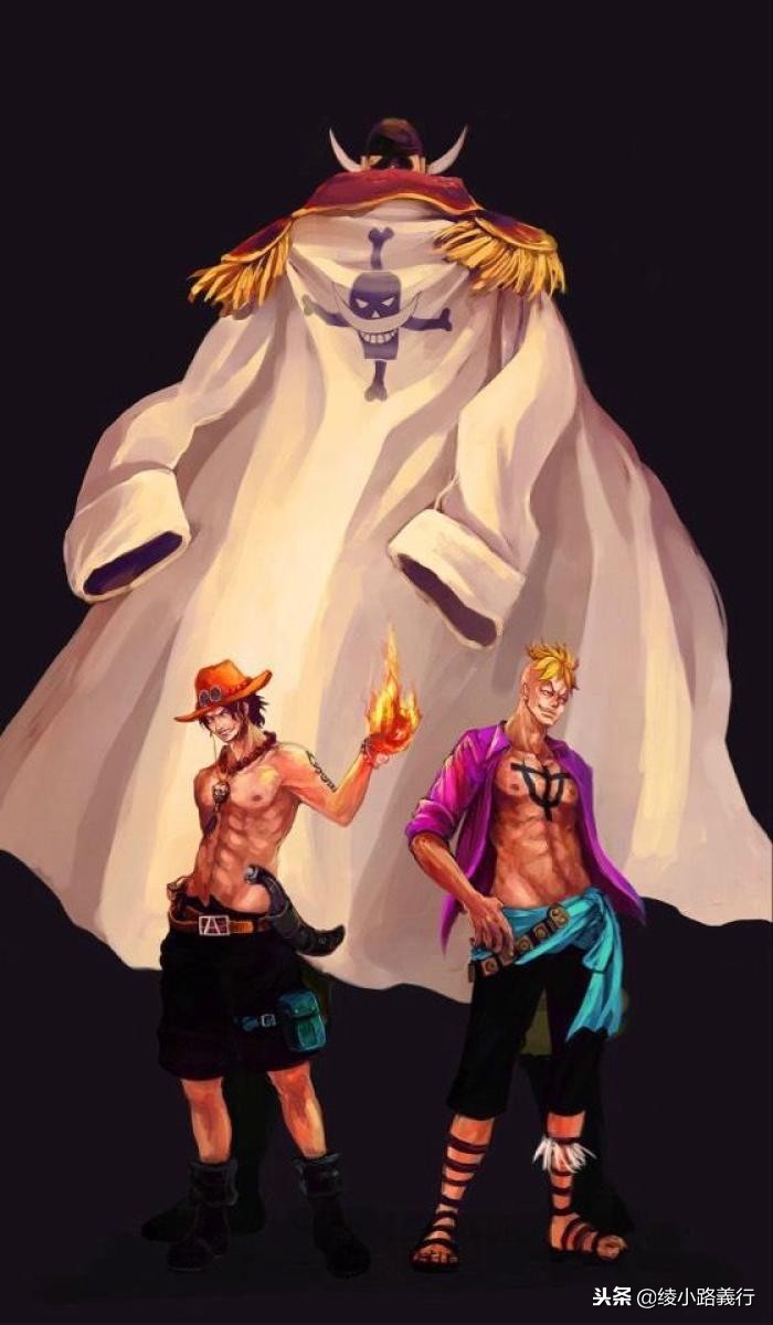海贼王漫画名字跟动画的区别,海贼王漫画原名叫什么