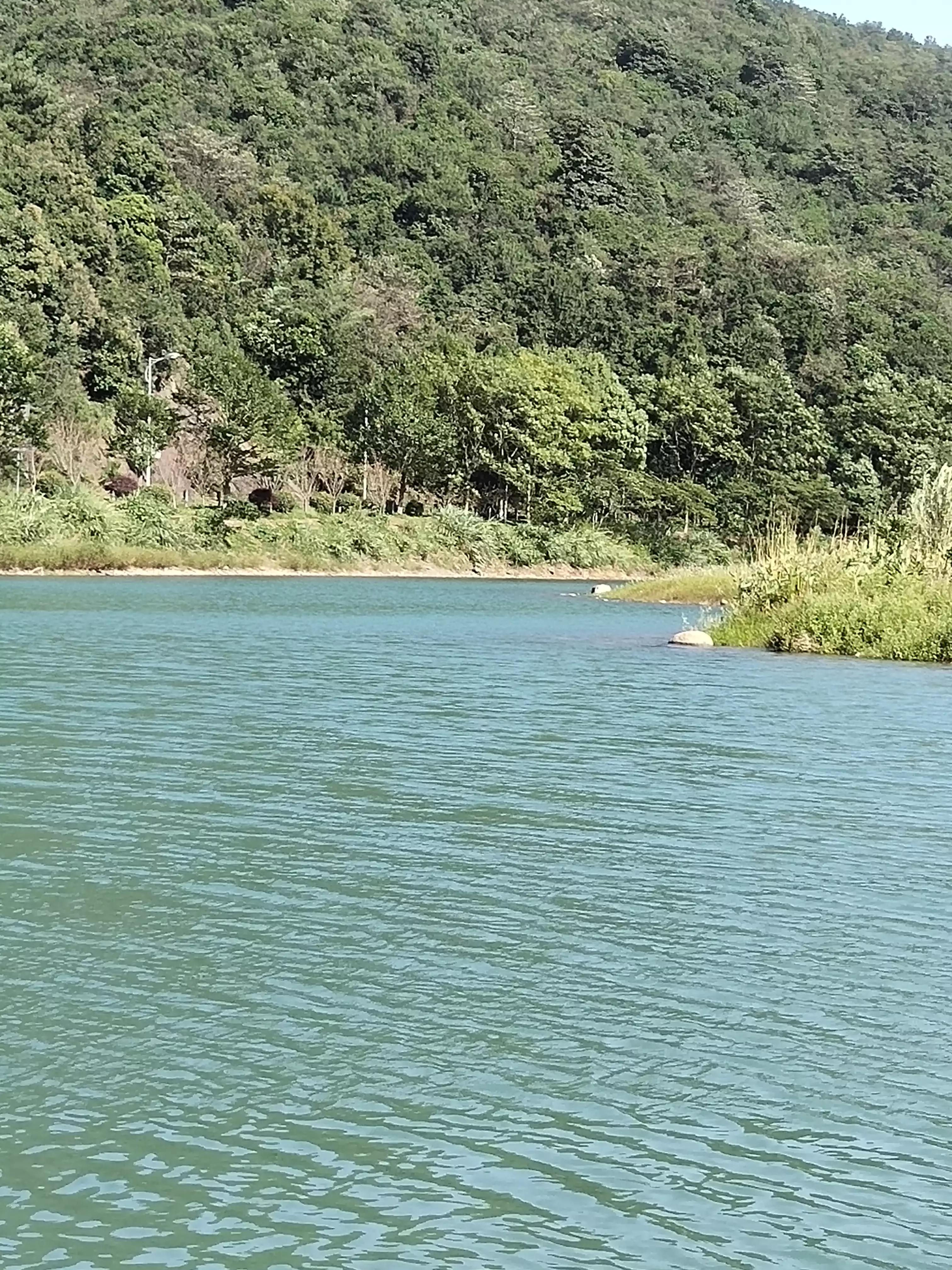 秋季宁波钓鱼,秋钓深潭