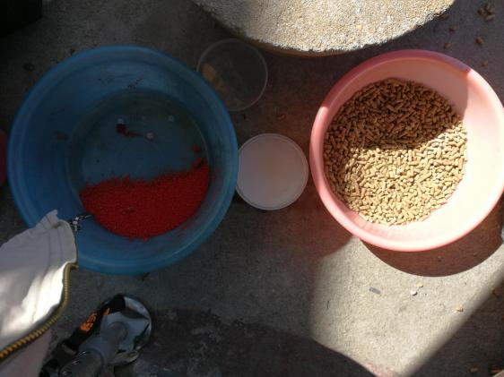 新手选鱼竿怎么选,新手怎么选鱼竿最合适