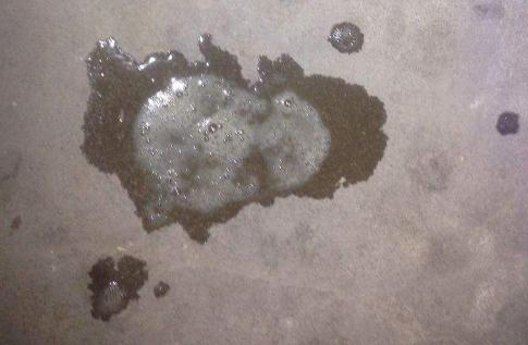 狗狗会咳嗽吐白色粘液,狗狗吐白色粘液怎么办