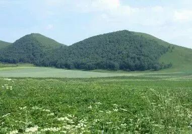 杨林老师照片,杨林老师钢琴