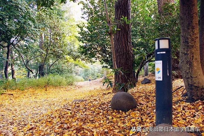 日本7所帝国大学,日本八所帝国大学