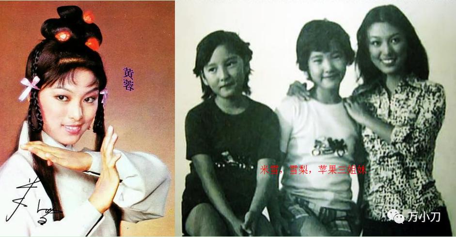 雪梨演员严慧明张国荣,雪莉与张国荣