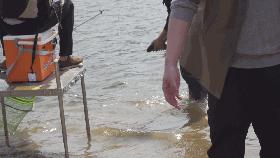 鱼竿最近价格为什么便宜了,鱼竿价格一般多少钱一根