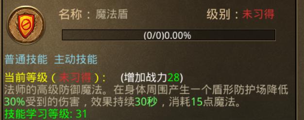 热血传奇法师练级攻略,微信热血传奇升级攻略