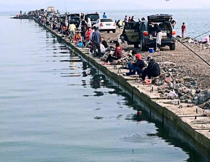 新手如何钓更多的鱼,新手怎么才能钓出好鱼