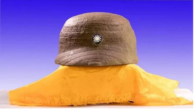 成交的天价玛瑙奇石,动物图案奇石天价成交