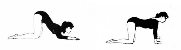 胸小的偏方,胸小调理