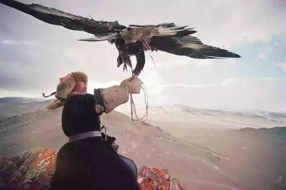 *疆新**阿合奇县：相守4000年的约定，委屈了自己，也不能饿着鹰