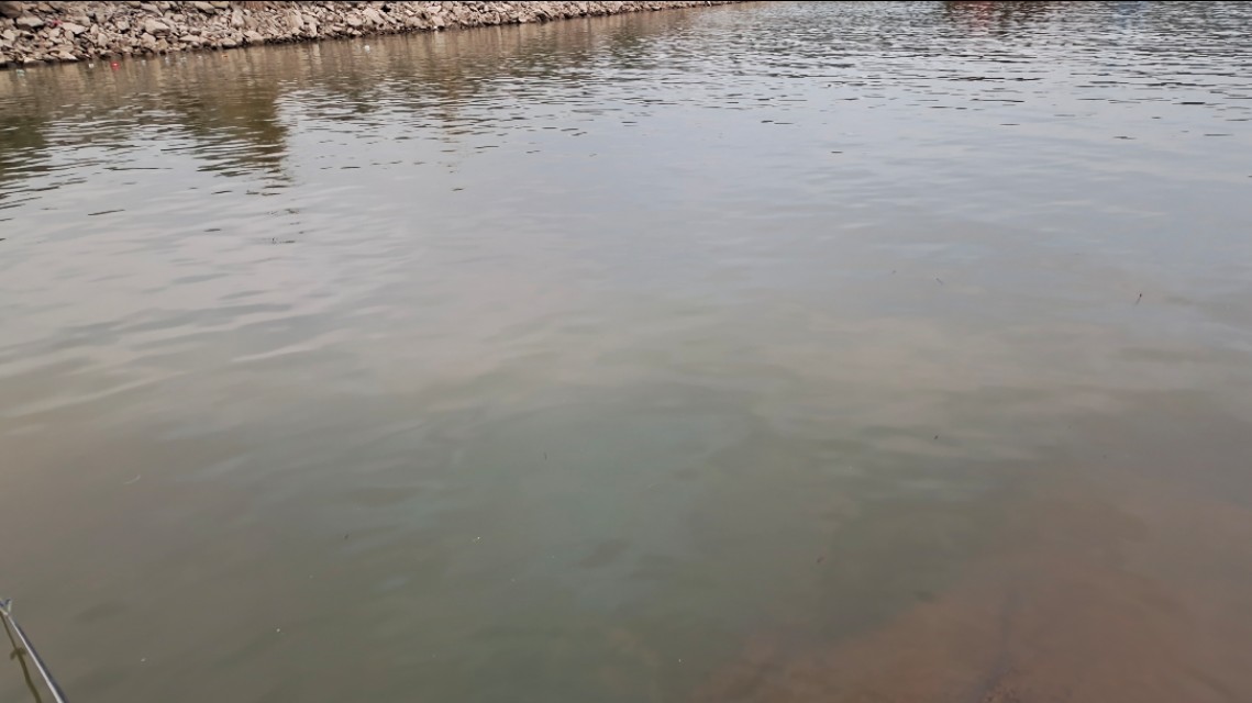 怎么钓趴地虎不用蚯蚓,无钩钓趴地虎的技巧