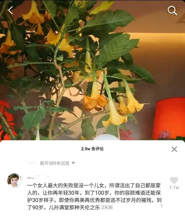 杨丽萍、陈数等女星热议:女性是不是用来生育的工具