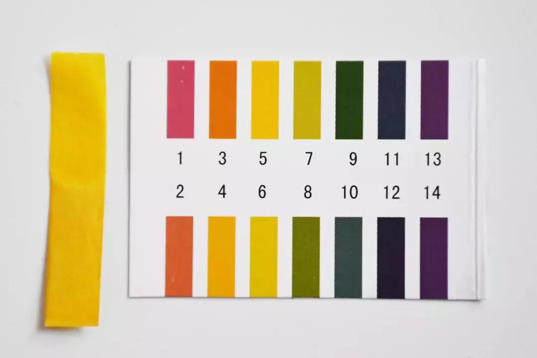 三月好物集,不买后悔的好物推荐