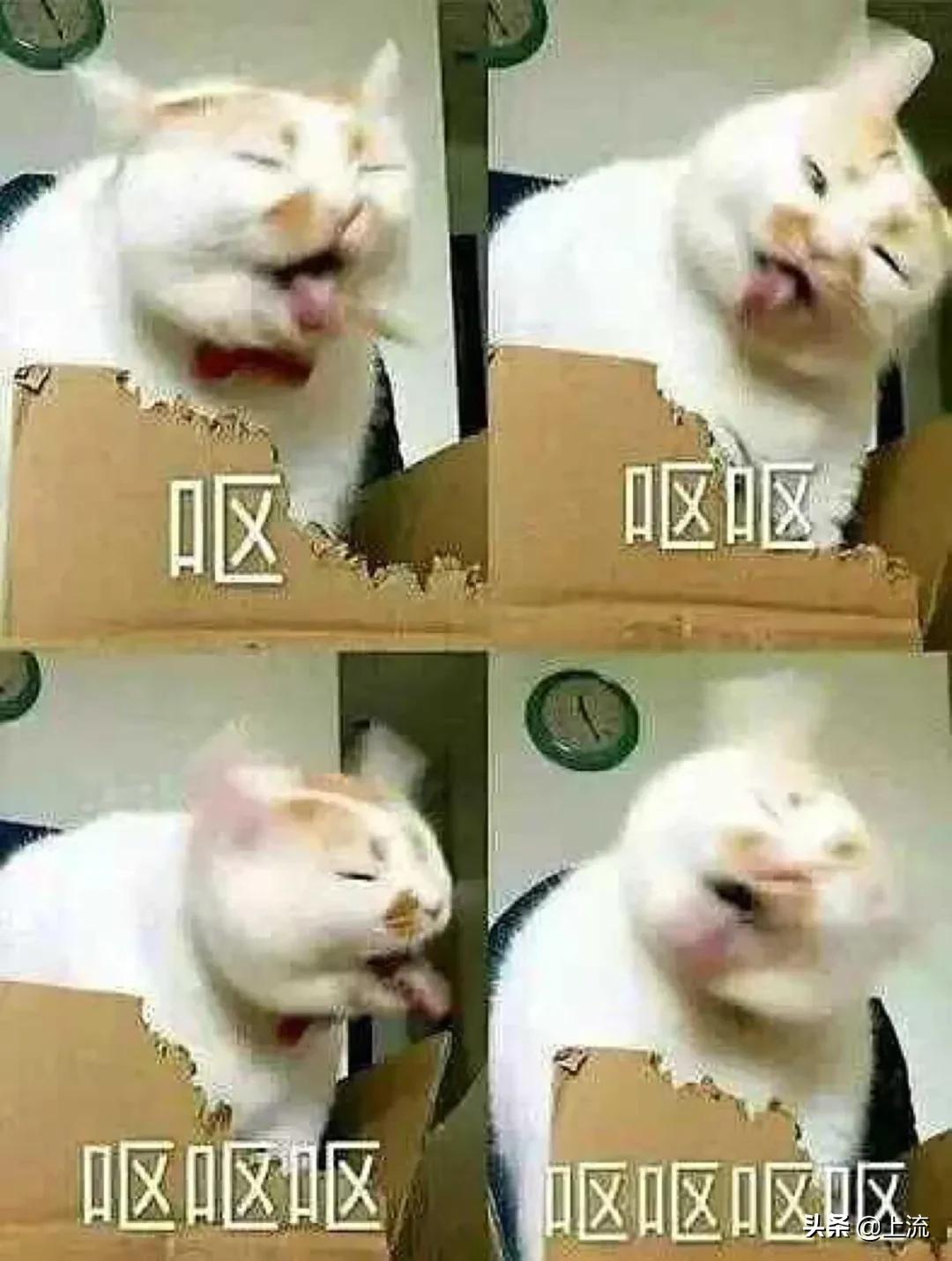 学了自己的专业才知道的道理,学了这个专业吃专业的苦