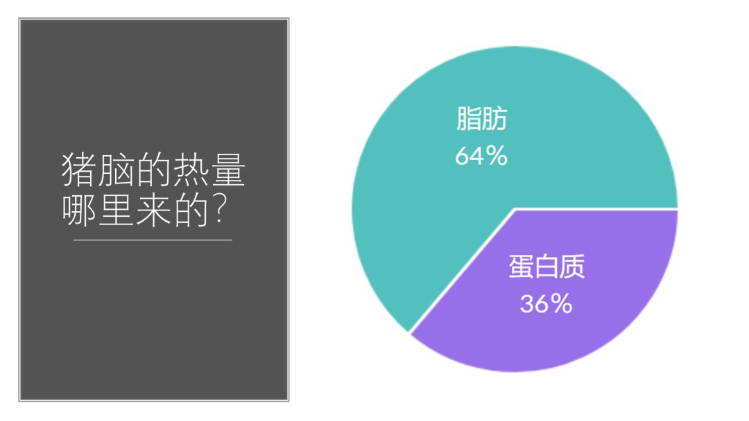 红烧猪脑怎么做好吃又营养又补脑,猪脑真的有补脑的效果吗