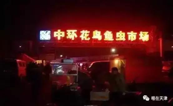 天津哏儿都的好去处,天津哏儿都