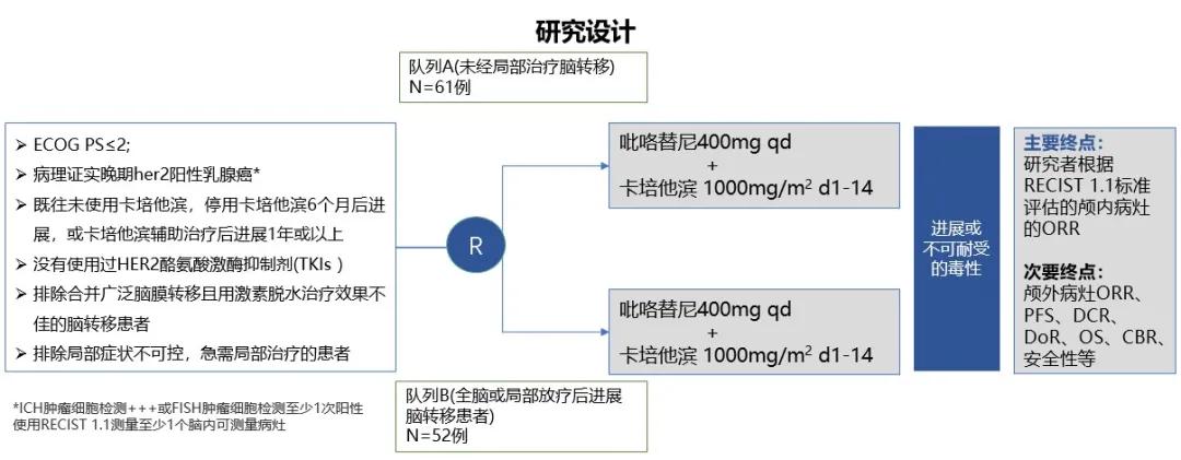 her2阳性晚期乳腺癌双靶治疗效果,her2阳性乳腺癌的免疫治疗前景