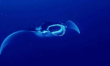 最值得听的十首中文说唱,盘点2022年最好听的说唱