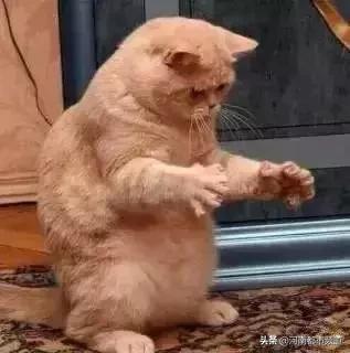 来郑州都不要错过这些地方,郑州最值得去的10个地方