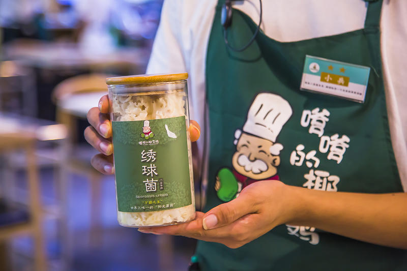 玩转三亚,玩转三亚日与夜