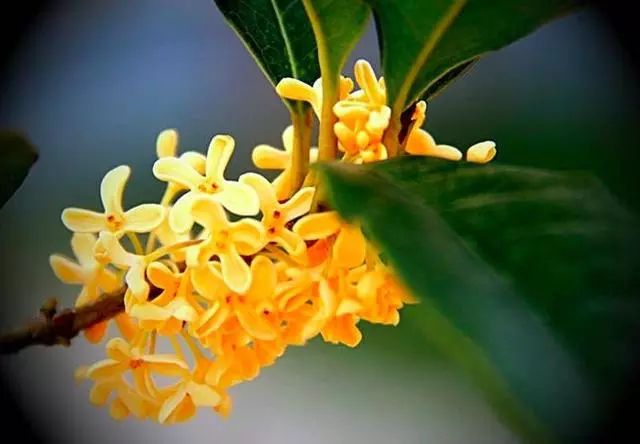 抱朴子经典语录,抱朴子的人生感悟