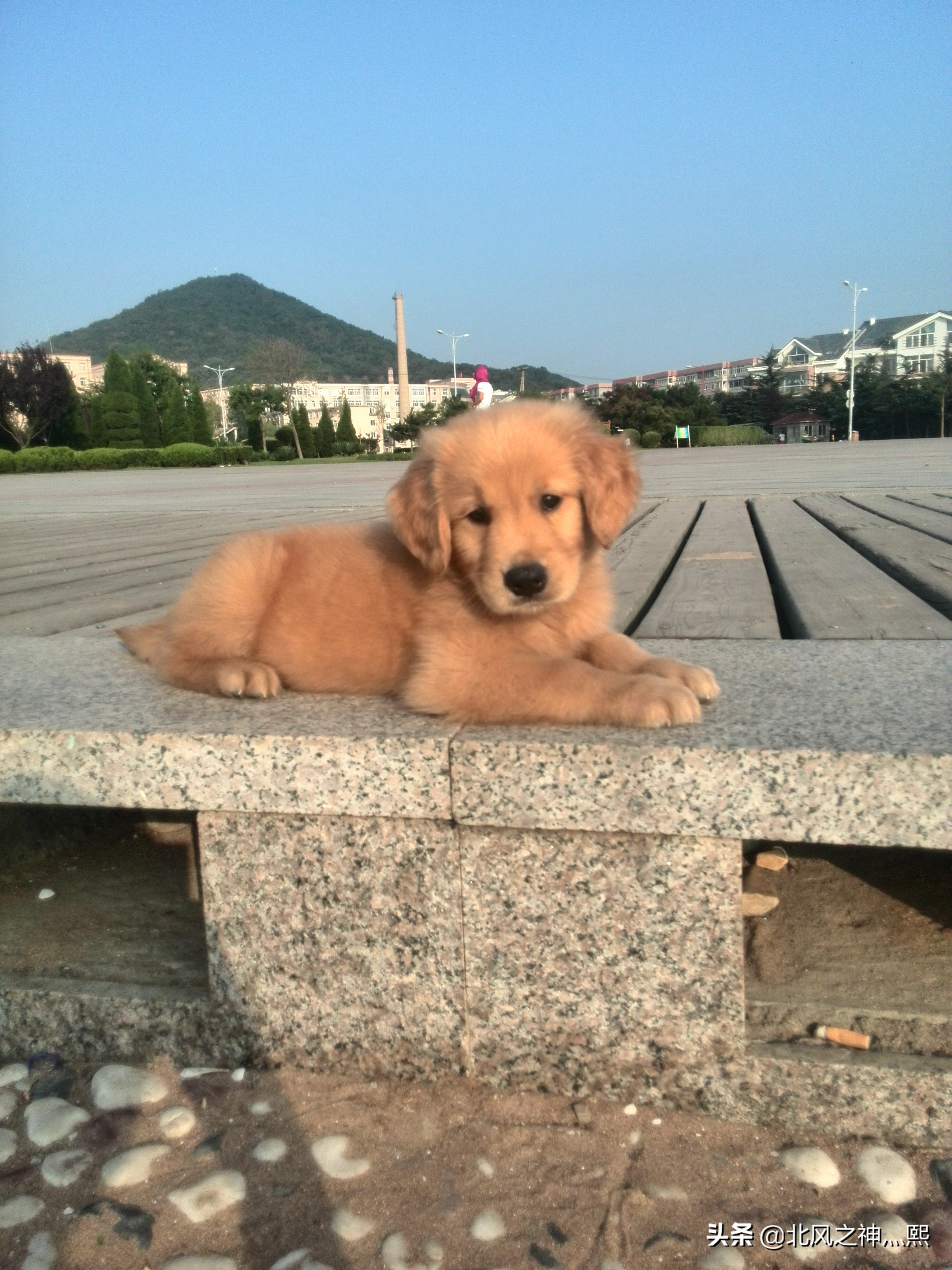 ibm工作10年如何跳槽,入职3年辞职