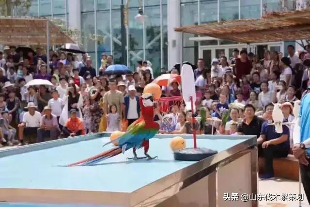 自驾游山东日照网红打卡旅游攻略,东夷花仙子美景