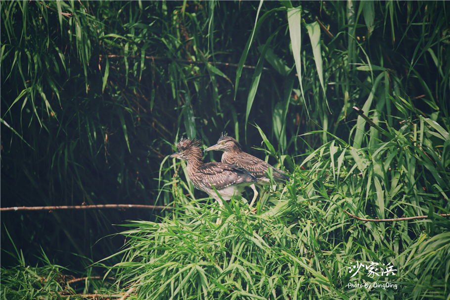 苏州红色革命旅游景点图片,苏州红色革命景点介绍视频