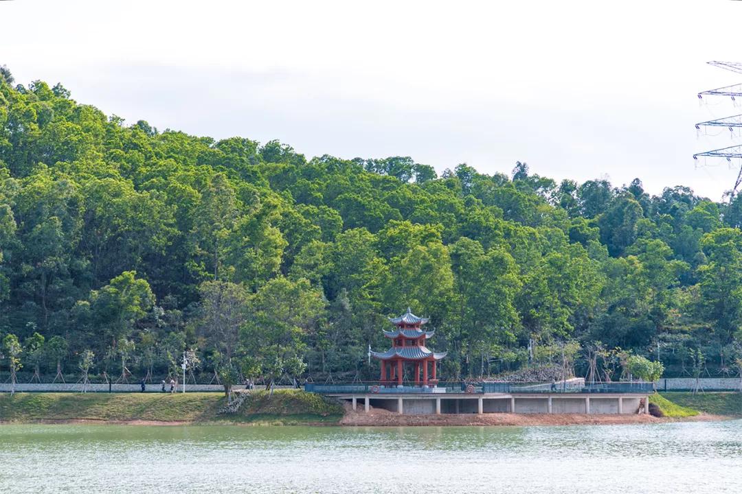 重庆轨道3号线,贵阳地铁3号线