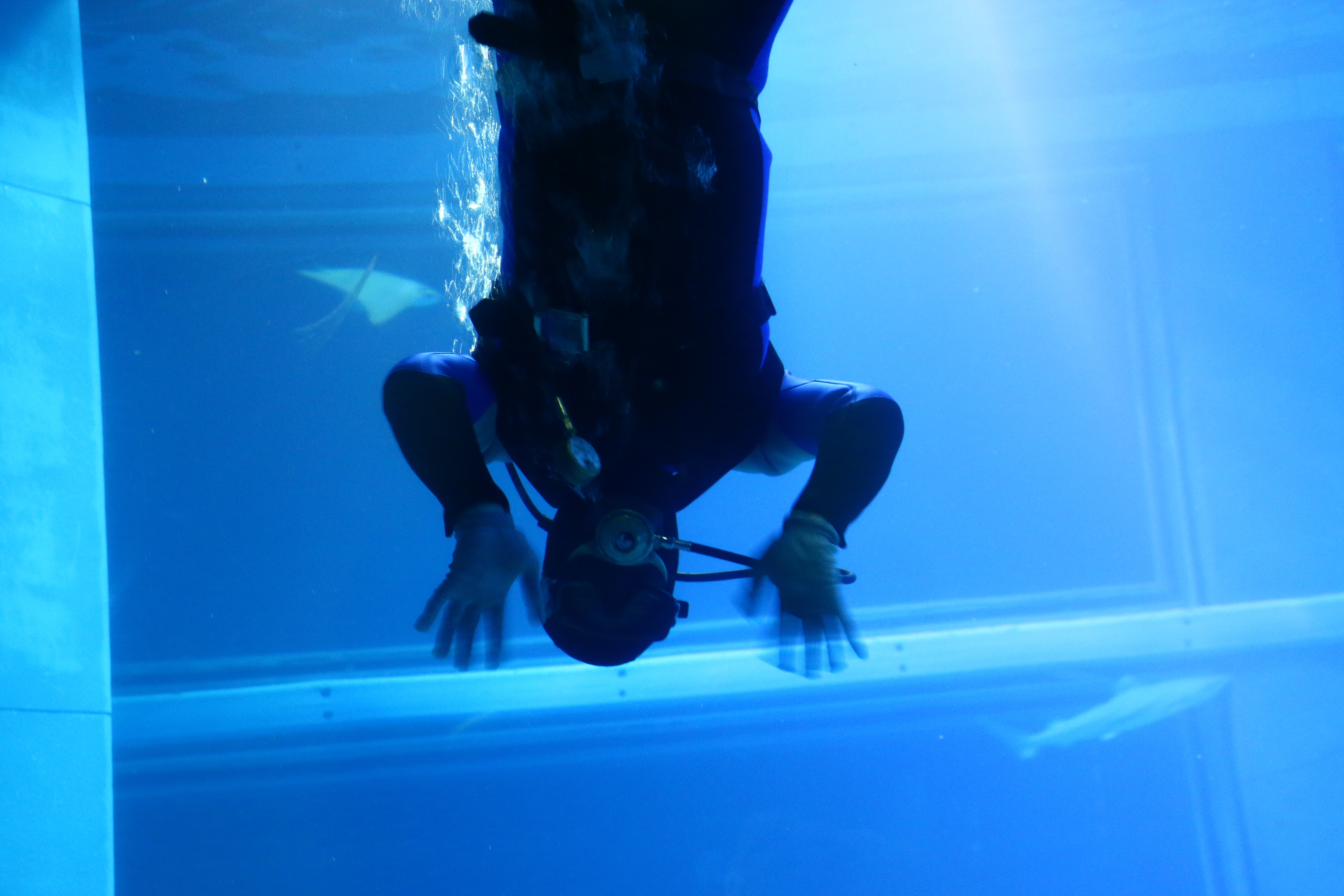 日本奈良自由行详细攻略,日本大阪京都自由行路线