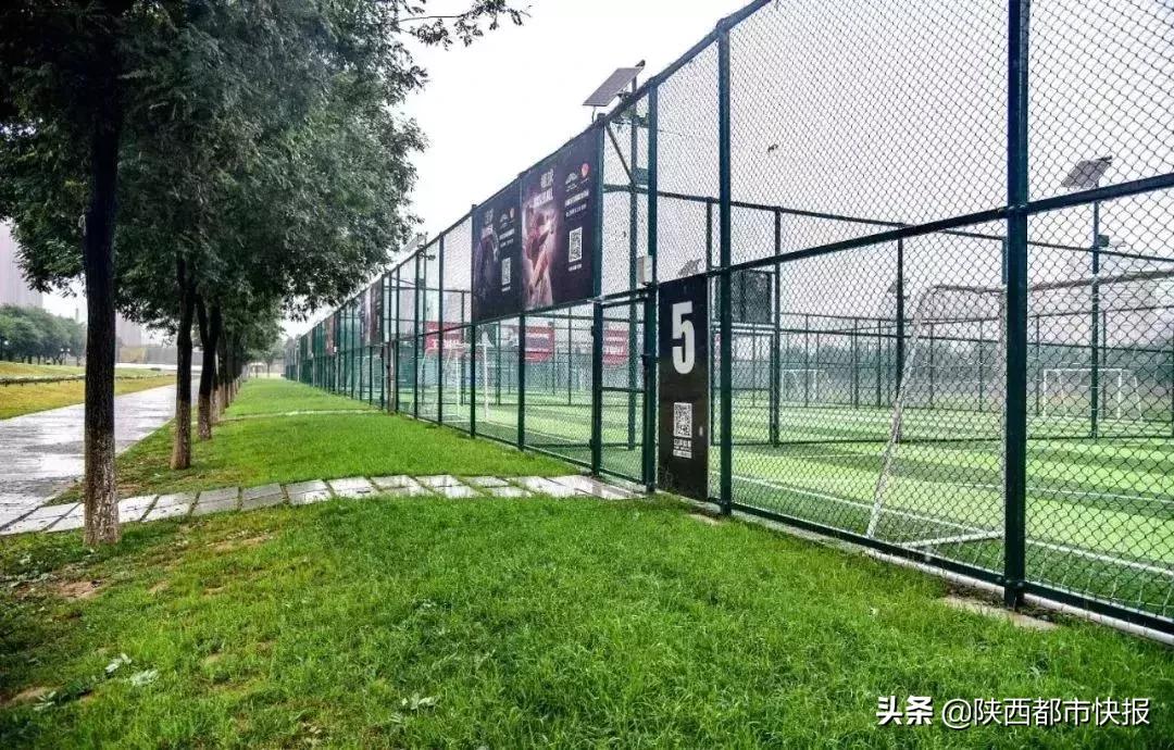 西安免费开放跑道体育场,西安体育场免费开放