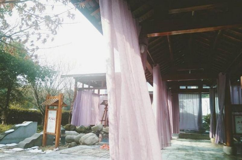 武汉周边哪个温泉最好,武汉周边泡温泉好去处