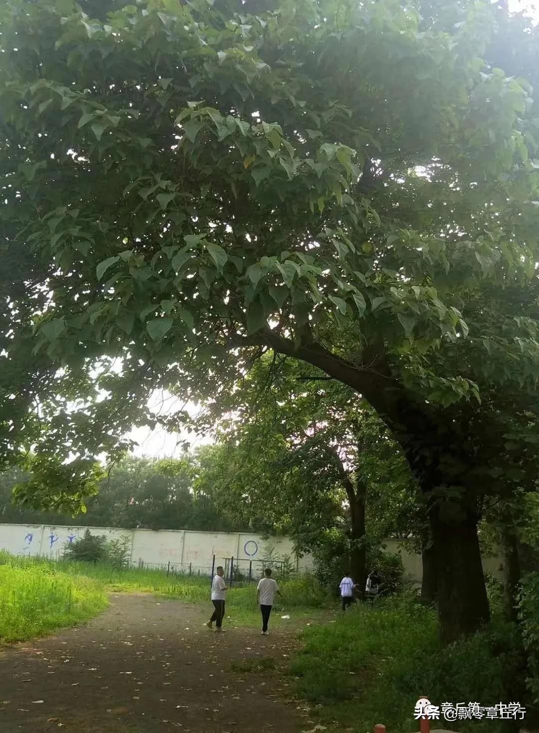 章丘古老的中学在哪里,章丘第一中学搬迁吗